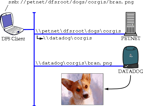 [Figure 2.19: Distributed File System At Play.]