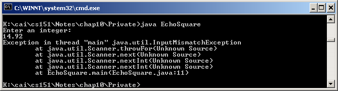 input mismatch exception