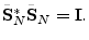 $\displaystyle \tilde{\mathbf{S}}^\ast_N \tilde{\mathbf{S}}_N = \mathbf{I}.
$