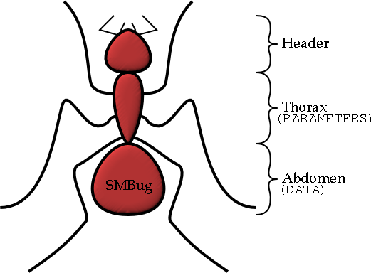 [Figure 2.3: SMB Gross Anatomy.]