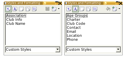Styles in Writer Template