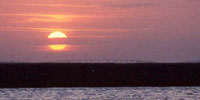Save to your image folder as image01.jpg