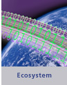 Ecosystem
