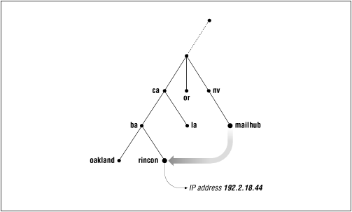 Figure 1.4