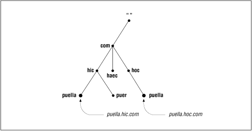 Figure 1.5