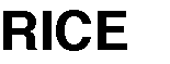 Rice Electronics