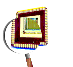 inspect.GIF (10616 bytes)